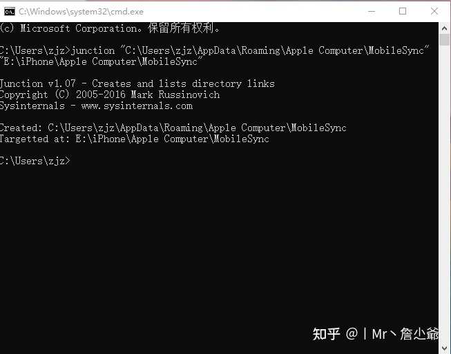  c apple computer mobilesync backup 