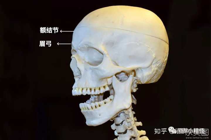 自体脂肪填充额头怎么会填成寿星公?