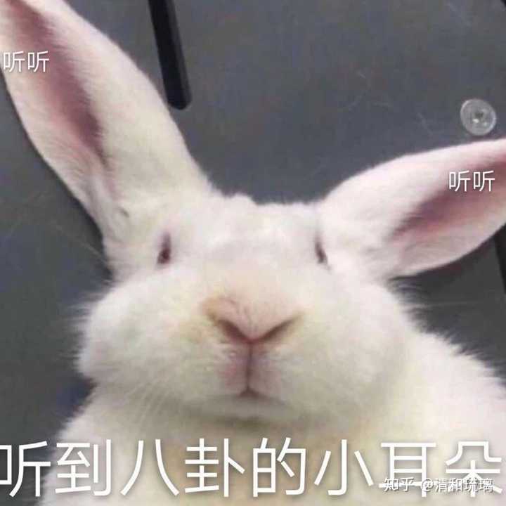 如何看待肌肉山山整蛊视频 知乎 如何看待肌肉山山整蛊视频 知乎