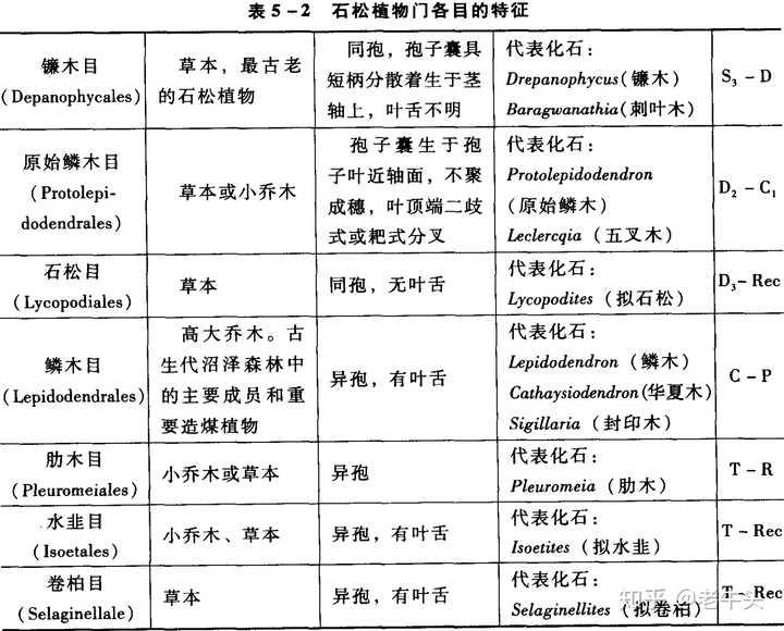 植物是怎么分类的 知乎