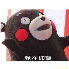 高考语文作文有哪些名言泛用 文艺又高大上 知乎