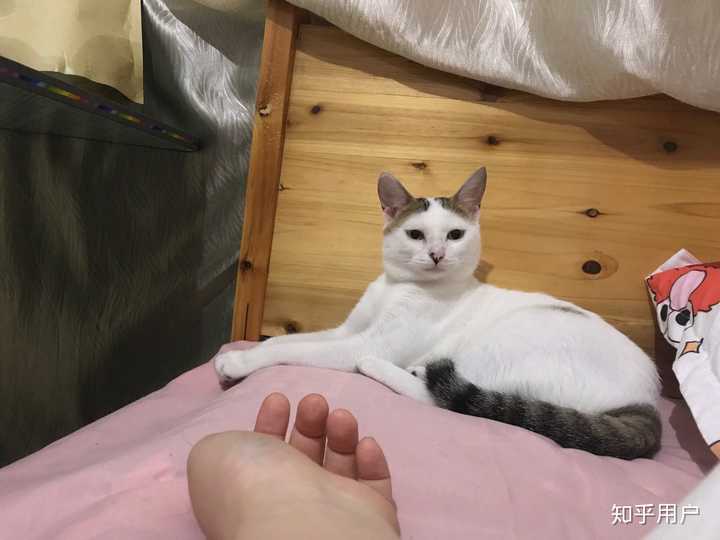 PyQt5 QSetting腾讯云开发者社区腾讯云