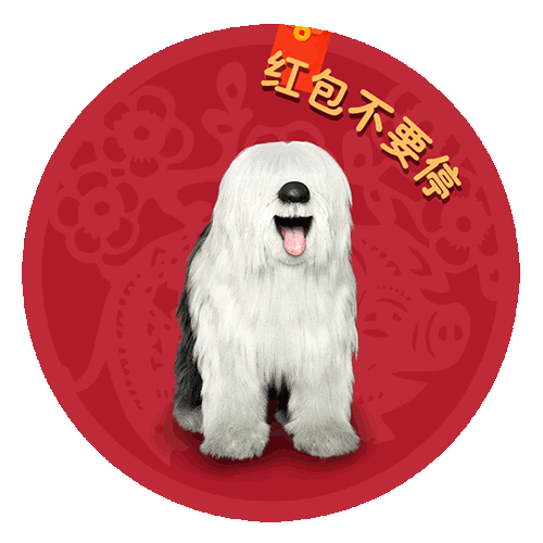 多乐士广告里的那条狗叫什么名字? - 知乎