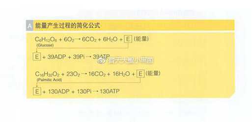 有氧运动和无氧运动有哪些区别 知乎