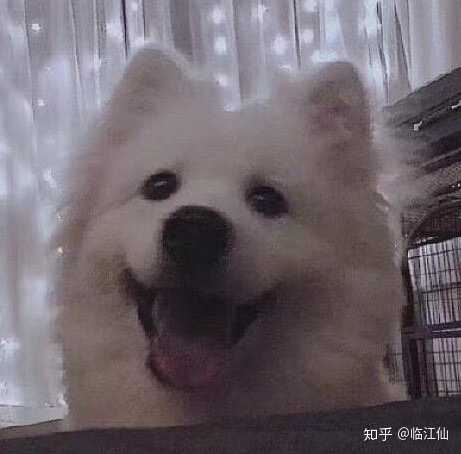 有哪些超好听的网名