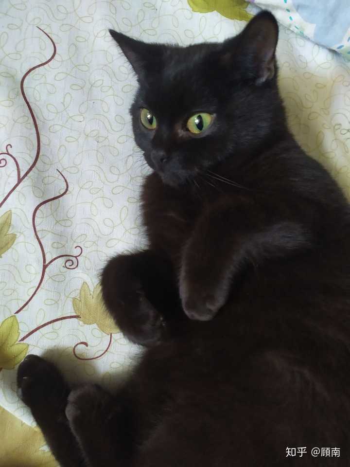 再附上一张日常沙雕照 我经常怀疑我养了一只手电筒 是我学习路上的