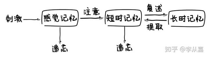 我们来看一下人类记忆三级加工模型 题主说自己的短时记忆