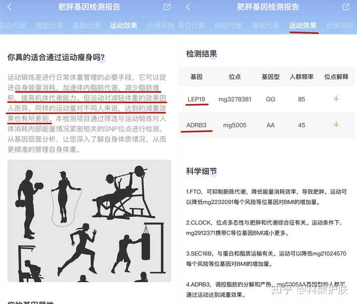 为什么我生活健康锻炼很多却还是一直很胖 胖瘦真的是天生的吗 知乎