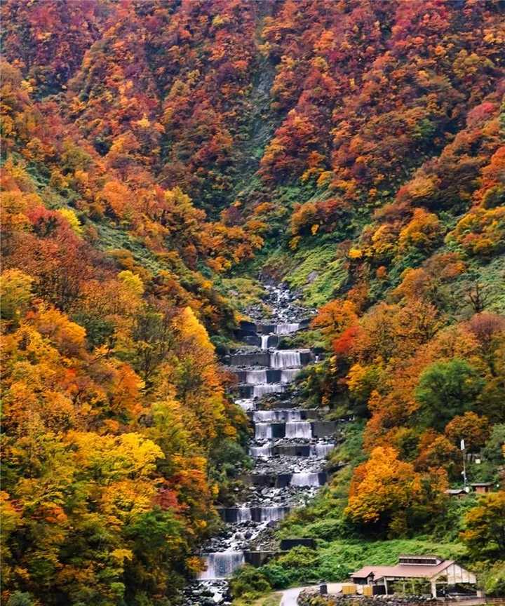 日本有哪些地方看枫叶最好 知乎