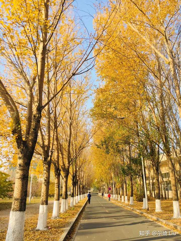 济南宿舍有空调的专科学校_济南大学宿舍有空调吗_山东有空调的大学宿舍