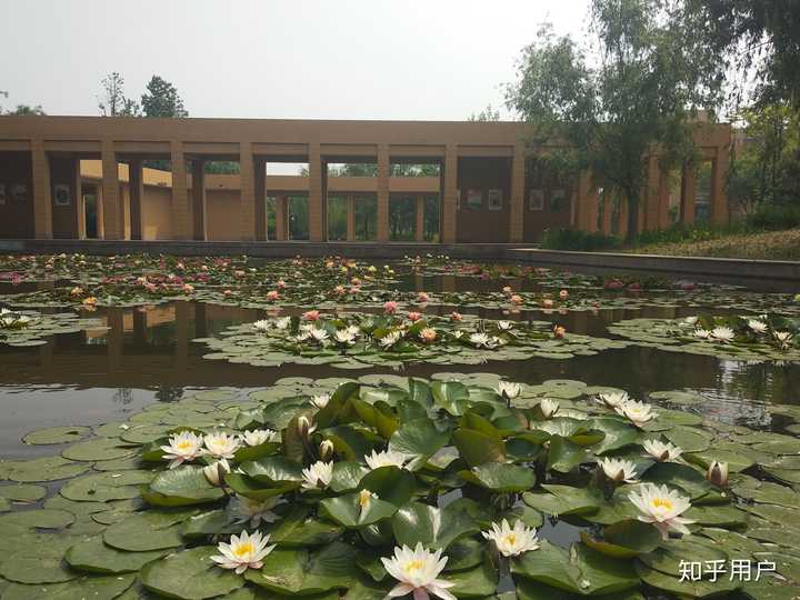 东营职业学院 风景图片