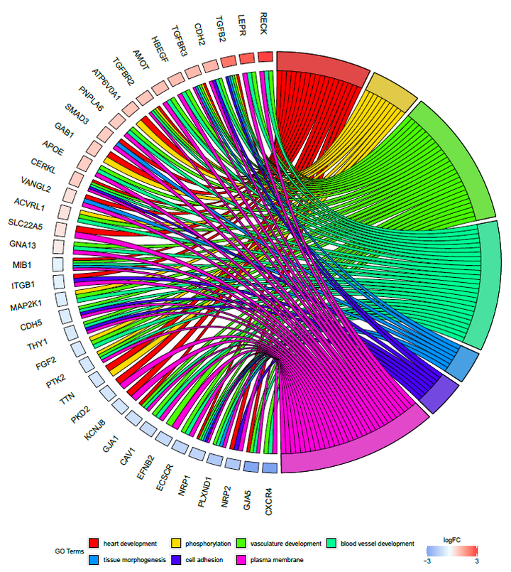 KEGG的弦图如何用R绘制? - 知乎