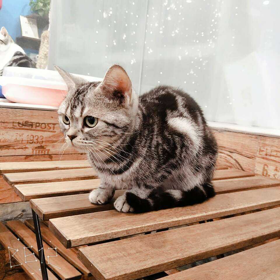 上官玥 0 分享 举报 还没有评论 取消 评论