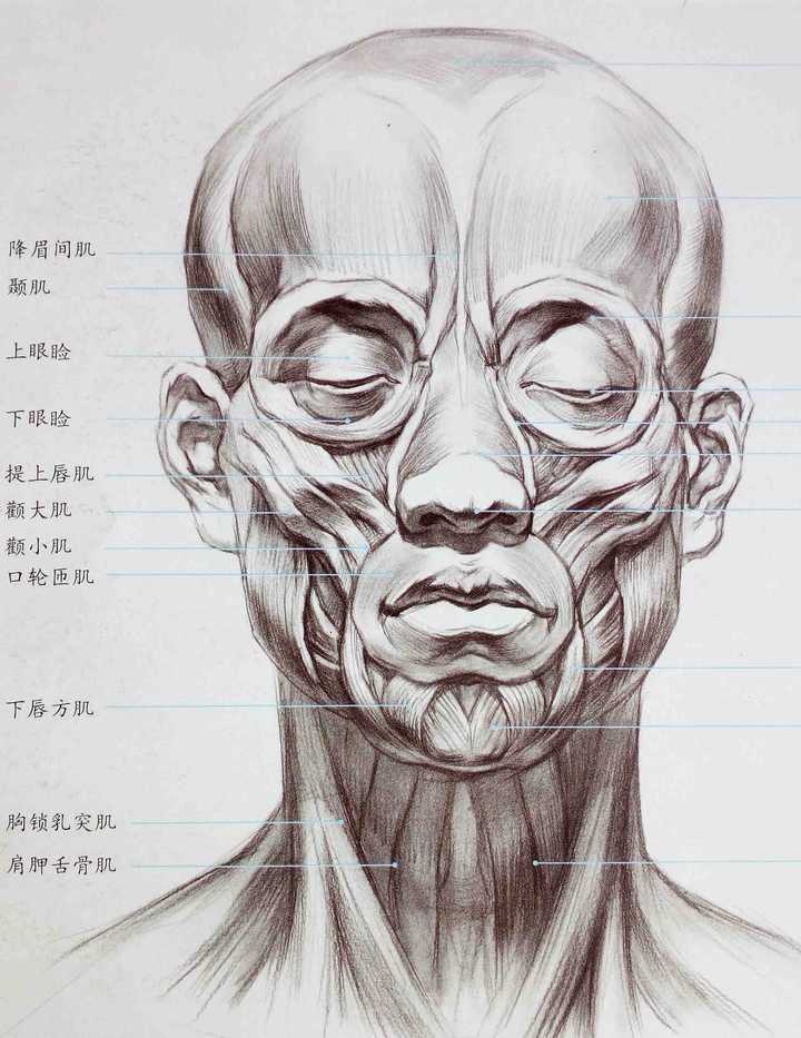 人像摄影如何得到轮廓分明、不模糊的脸部? - 知乎