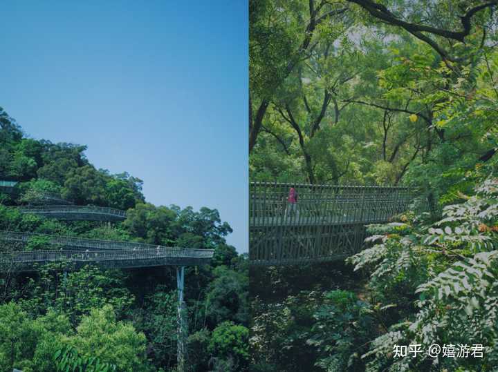福道