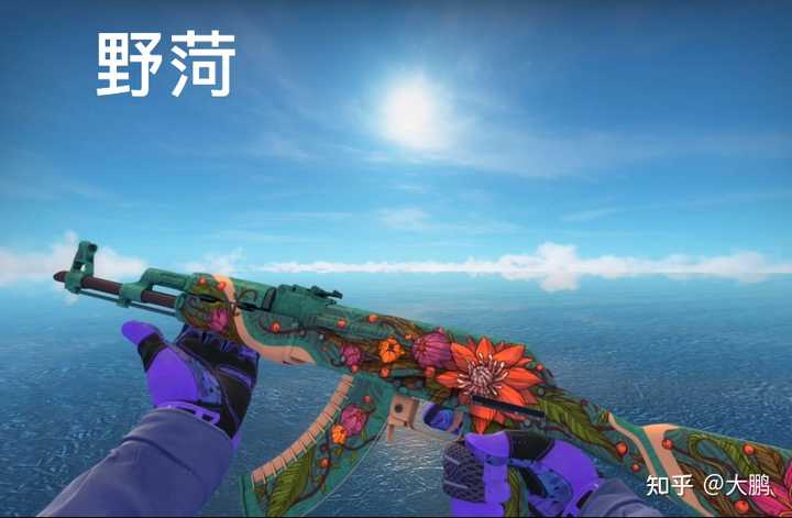 CS:GO AK47, 野荷