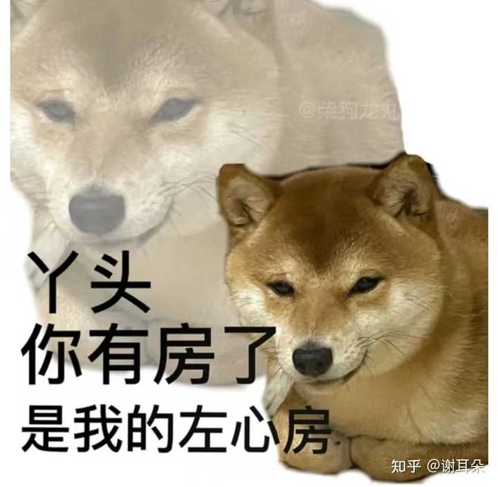 有哪些笑出猪叫的“疯批语录”？ - 知乎