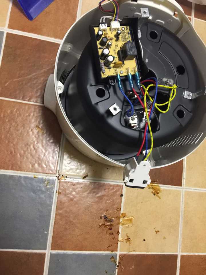 电饭煲内部成了蟑螂窝怎么办?