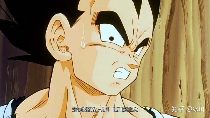 龟仙人,贝吉塔神吐槽 贝吉塔这是在说布玛(真香)