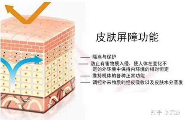 护肤保养沙龙_孕妇护肤保养_护肤保养步骤