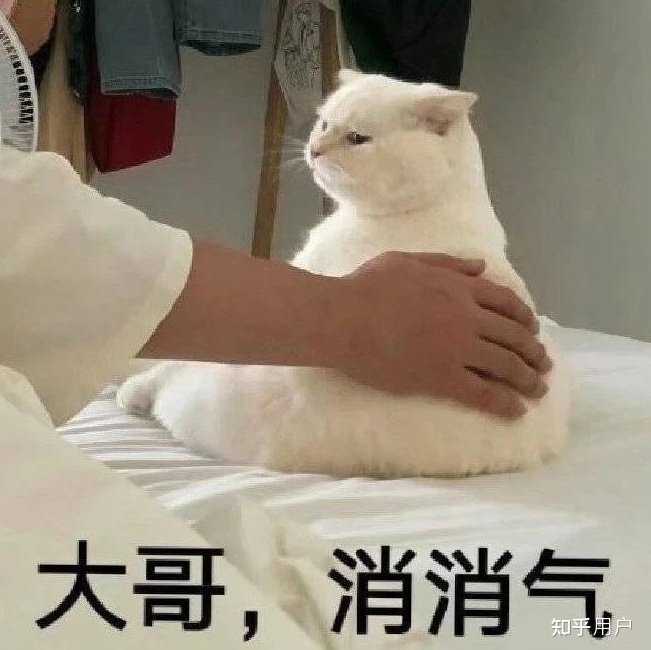 有哪些安慰别人的表情包？ - 知乎