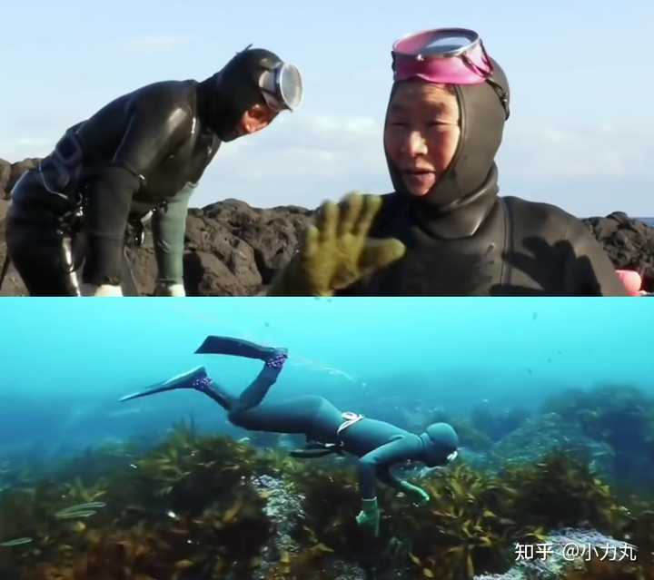 日本的海女是什么? - 知乎