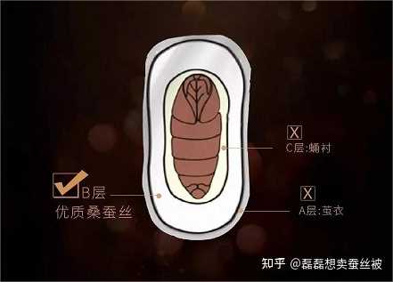 蚕丝被有哪些种类和等级,为什么价格差距那么大? - 知乎