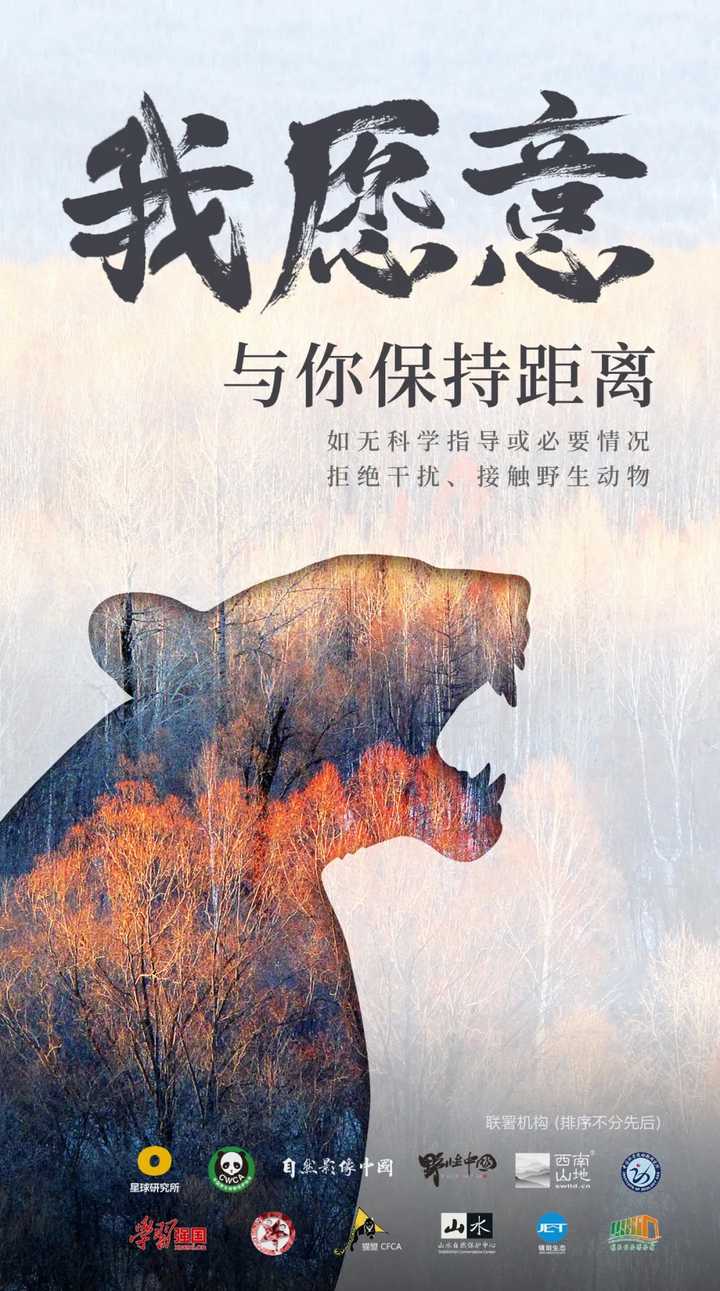朱一龙问 拒绝非法野生物贸易 我们能够做些什么 知乎 朱一龙问 拒绝非法野生物贸易 我们能够做些什么 知乎
