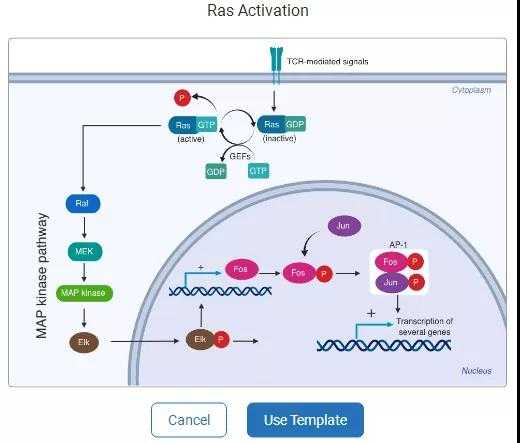 pathways可见如ras activation,il-3 induced metaplasia等信号通路