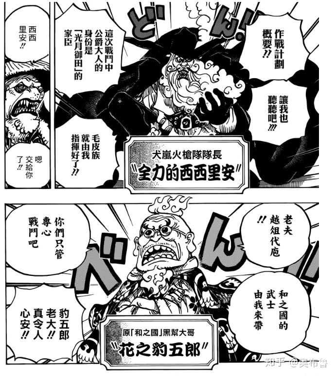 如何评价 海贼王 第977话 奥布鲁的回答 知乎