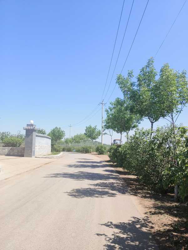 运动真的能提升颜值吗？