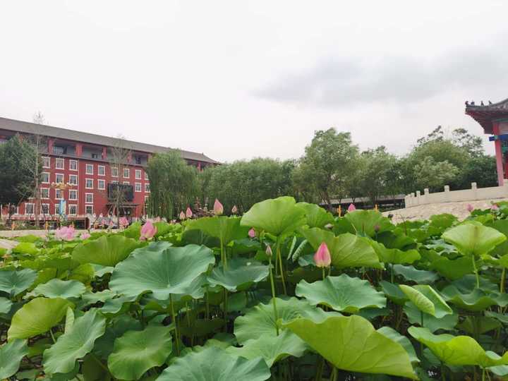 查来查去,发现华北理工大学轻工学院这个学校我应该能去,谁能发点真实
