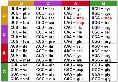 广州黑人问题到底有多严重?