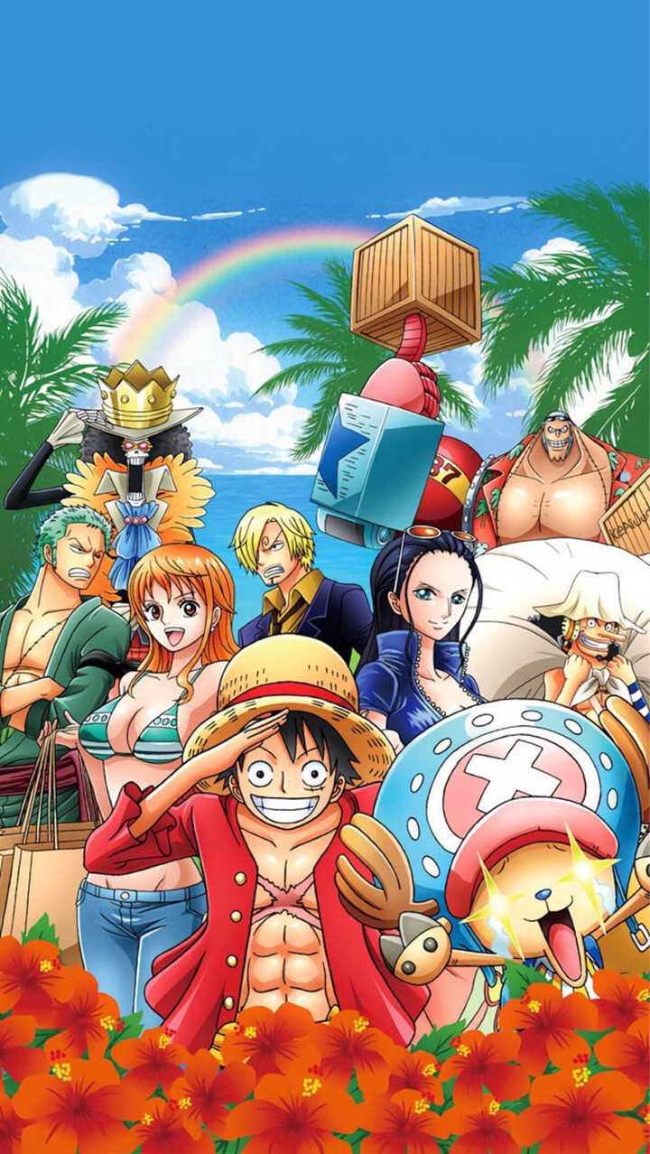有哪些可以用一生的海贼王壁纸(手机&电脑)?