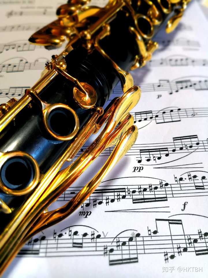 学了十年单簧管,吹得还行,想换一个新乐器有什么推荐?