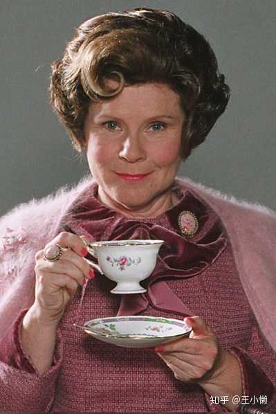 多洛雷斯·乌姆里奇(图片来自网络,侵删)