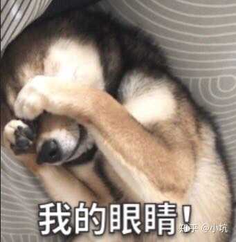你因为视力不好而闹过什么难忘的笑话 知乎