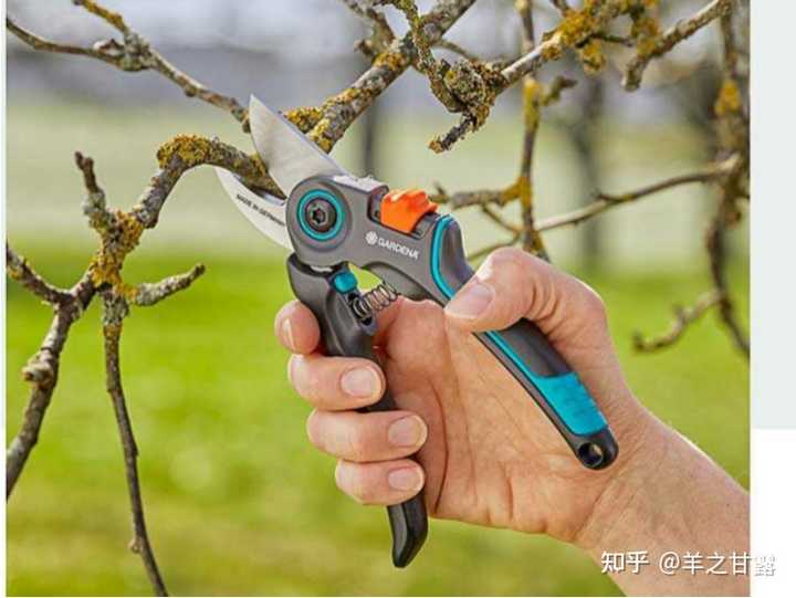修枝剪有什么品牌和型号值得推荐的? - 知乎