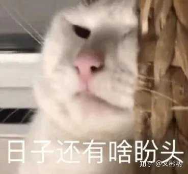 有没有让朋友圈人气暴涨的沙雕文案?