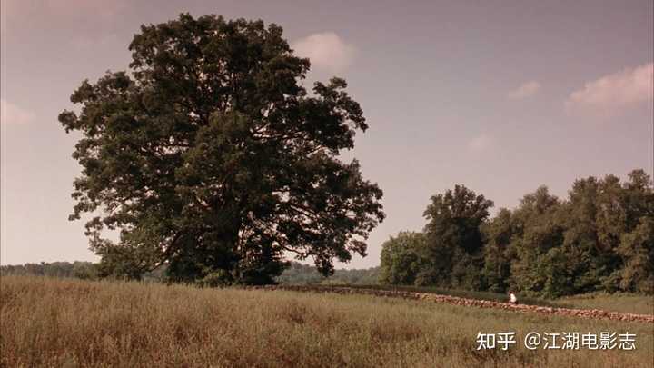 电影《肖申克的救赎》中，老布伦获得了自由，为什么还要自杀？ - 知乎