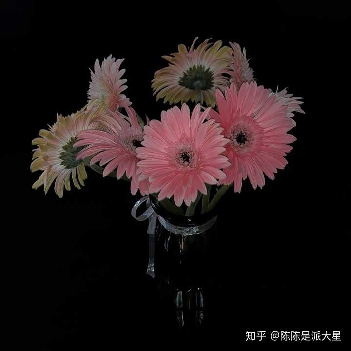 有哪些简短文艺且惊艳的句子 知乎