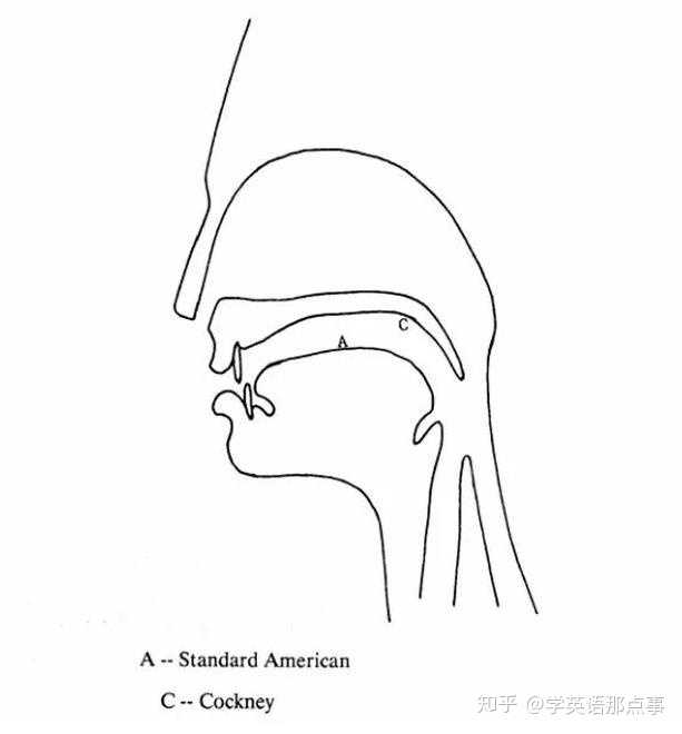 中国人在哪些英语发音上容易出现问题 知乎