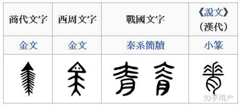 「背」字和「脊」字的关系是什么? - 知乎