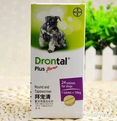 怎么判断狗狗是否需要做驱虫 以及怎么选择驱虫药 知乎