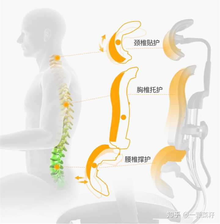 设计师 每天加班10小时以上 有护腰的电脑椅推荐没 知乎