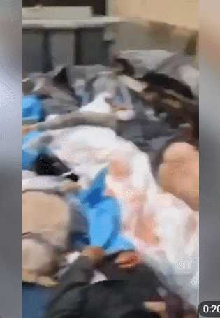 动图封面