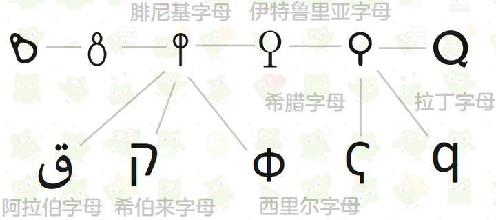 为什么英文字母Q出现在单词中时，999‰的单词以字母组合QU的形式出现？ - 知乎