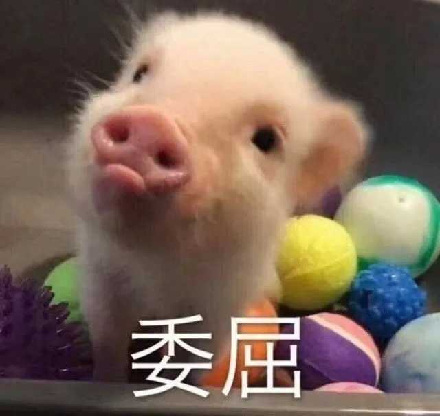 有哪些求和好的文案?