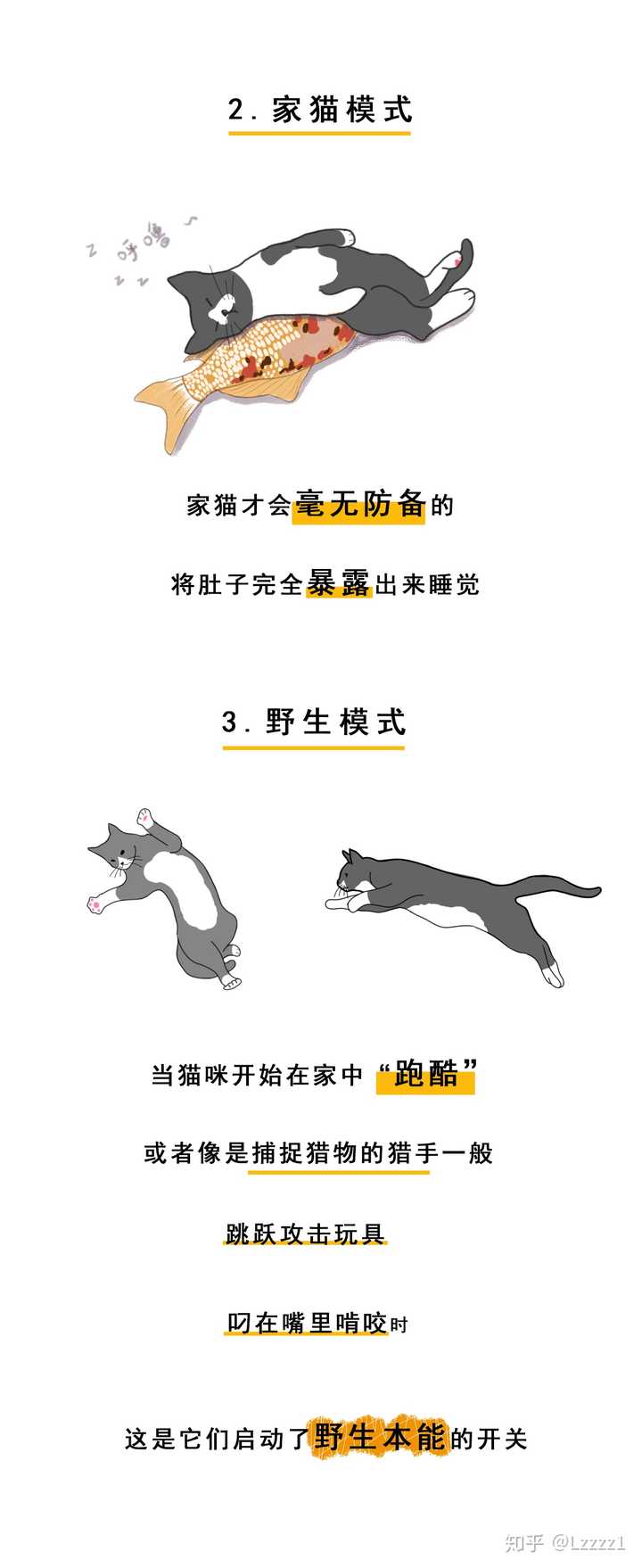 猫有感情吗 知乎