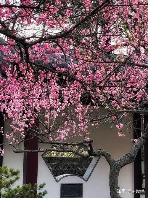 南京雨花台风景区门票，你去过几个？！